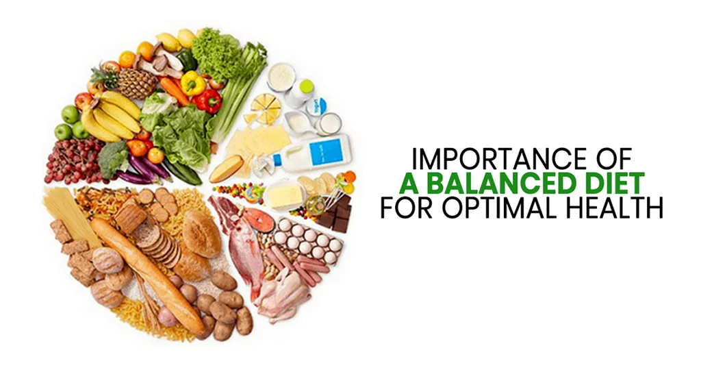 How to Build a Balanced Diet for Optimal Health